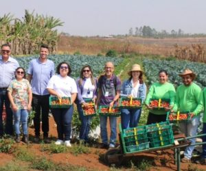 Reforma Agrária e ATER Pública para produzir alimentos e qualidade de vida