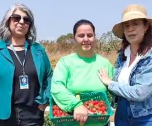 Equipe de ATER Mulheres e Anater visitam assentamento no DF